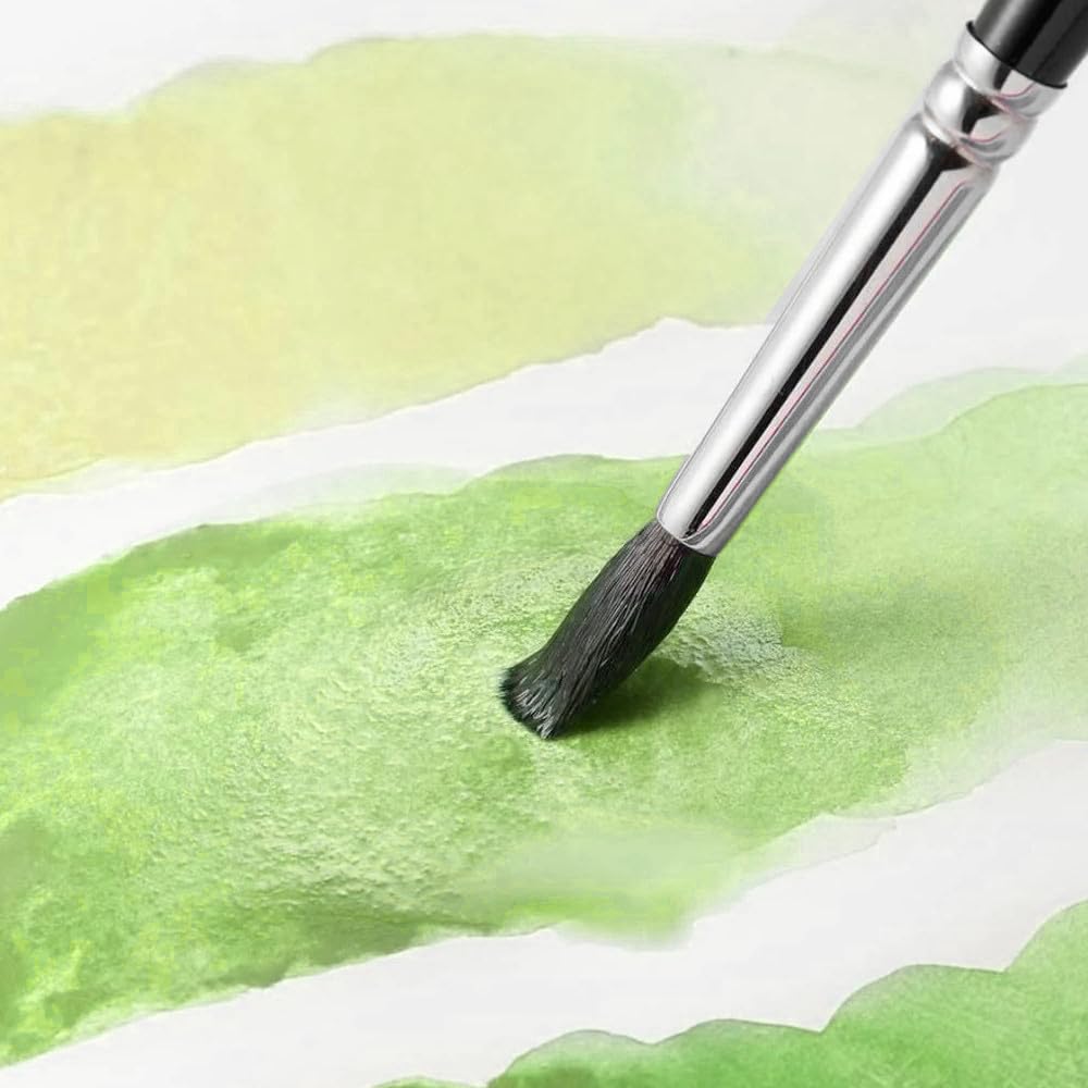 Amazon | CARAN D'ACHE カランダッシュ パステル 水溶性 スイスカラー